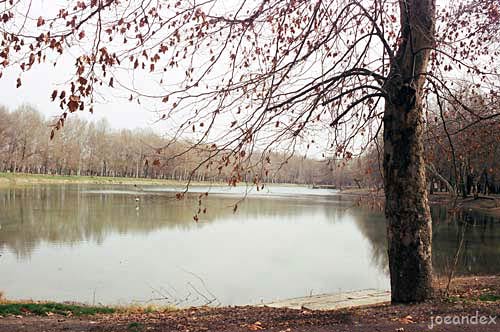 Озеро в Сергелях