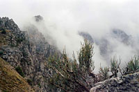 Туман в горах Гулькама