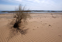 Песчаный берег Айдаркуля