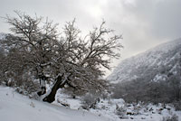 Зима в горах Булаксу