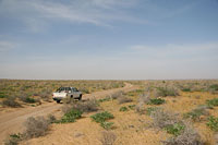 Дороги в пустыне Кызылкум