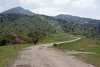 Дорога вдоль склонов Сюренаты