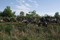 Камни в Зарафшанском заповеднике
