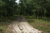 Грунтовая дорога в Зерафшанском заповеднике
