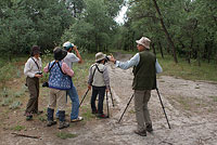 Группа японских орнитологов