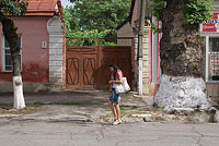 Старая чинара в русском квартале