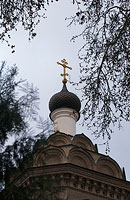 Купол Собора Святителя Алексия