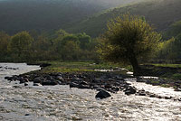 Шавазсай - приток Ахангарана